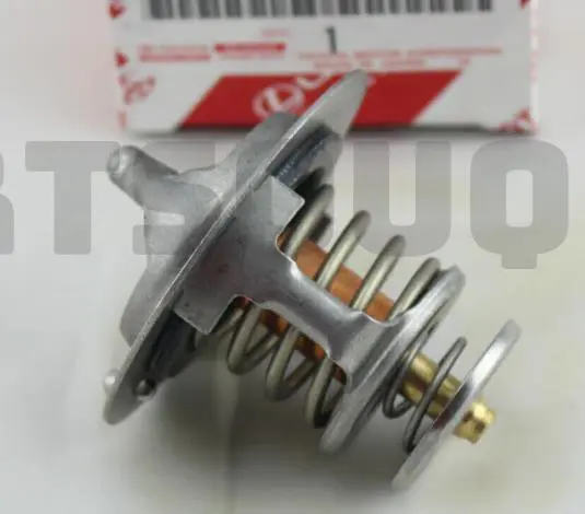 THERMOSTAT KIT