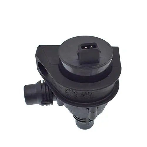 AUXILIARY WATER PUMP
