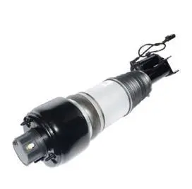 AIR SHOCK ABSORBER