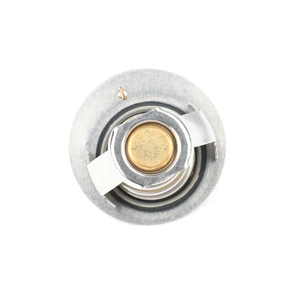 THERMOSTAT KIT