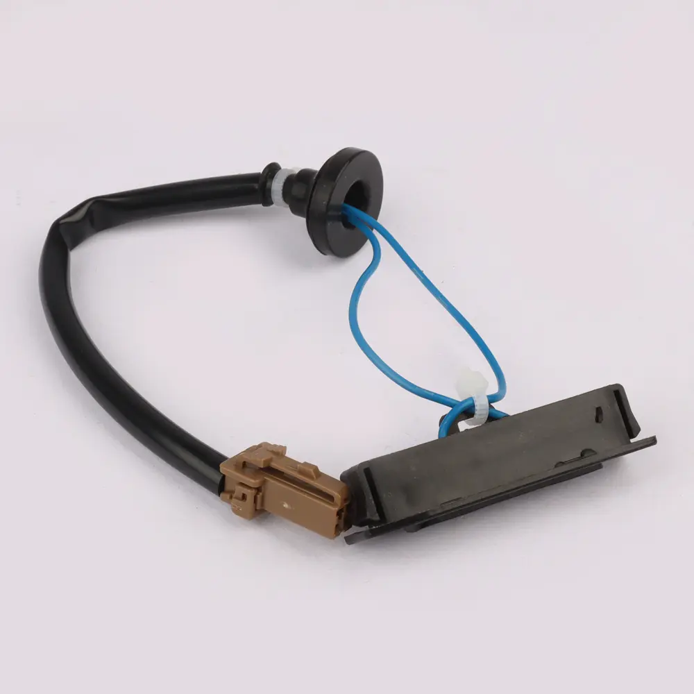 SWITCH ASSY-TRUNK OPENER