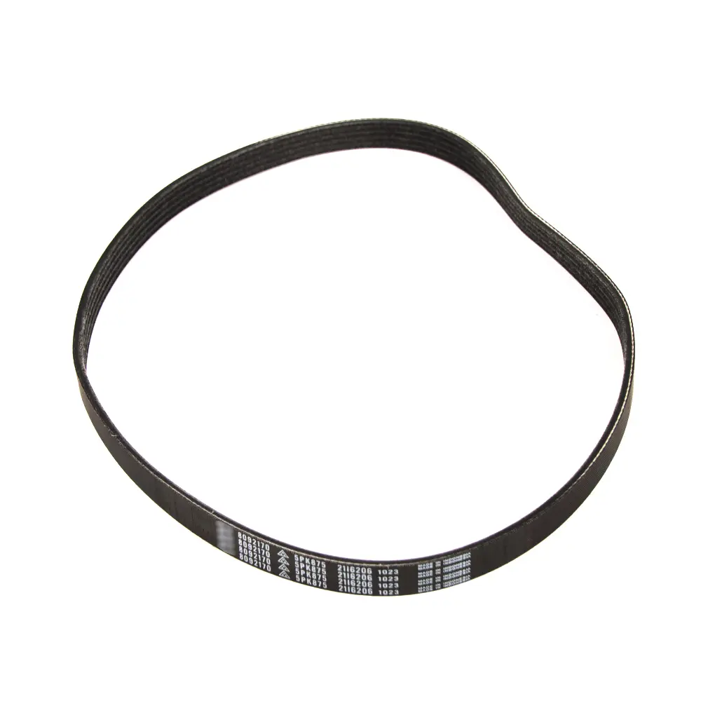 ALTERNATOR BELT