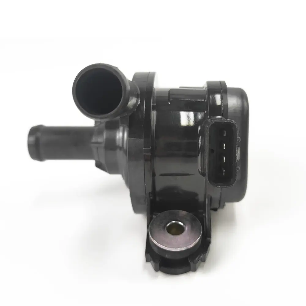 AUXILIARY WATER PUMP