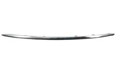 GARNISH,FR BUMPER SIDE