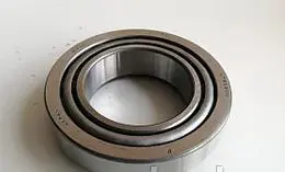 DIFFERENTIAL BEARING
