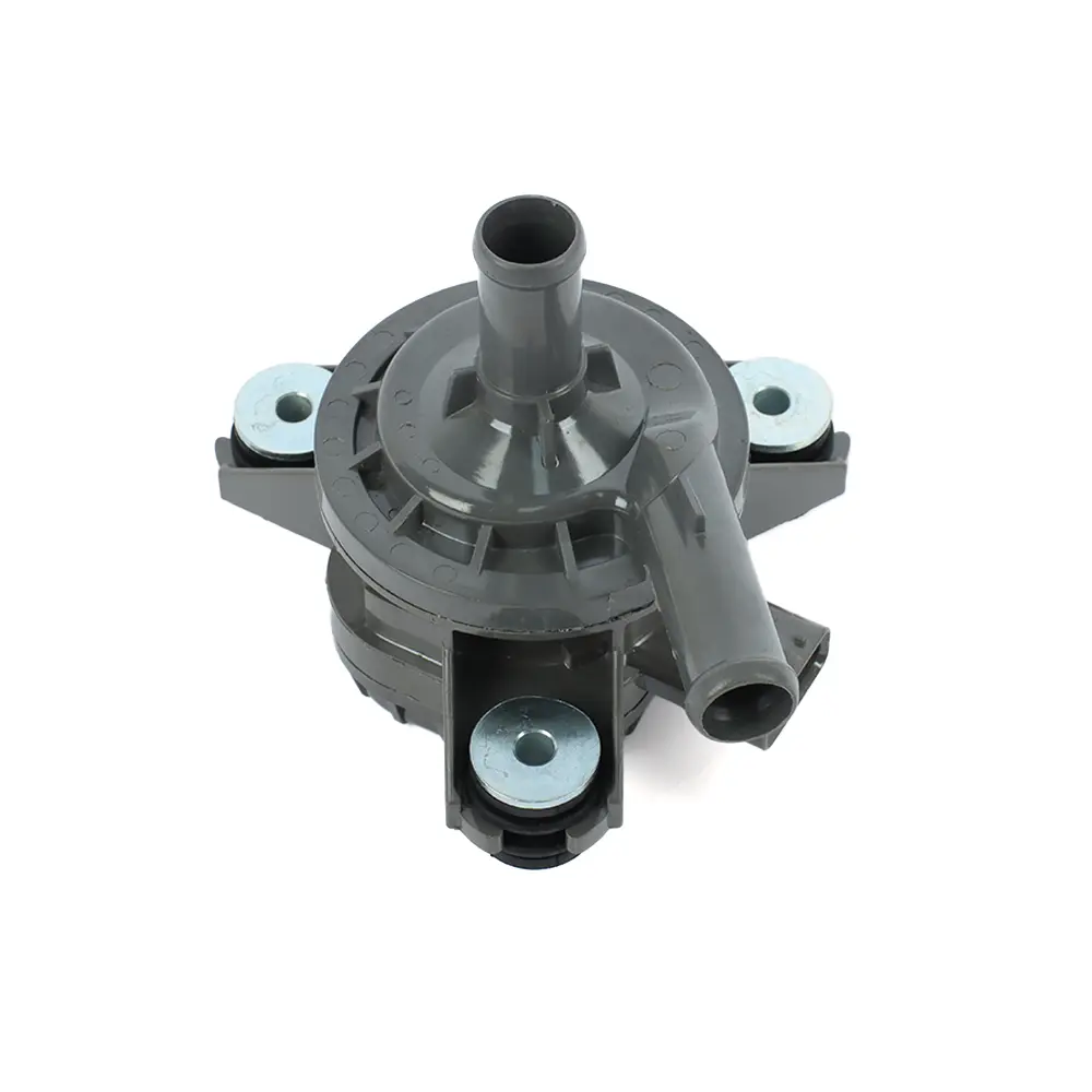 AUXILIARY WATER PUMP