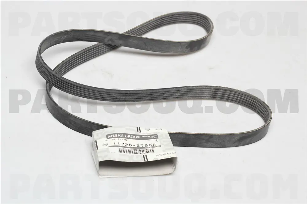 ALTERNATOR BELT