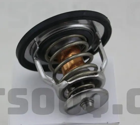 THERMOSTAT KIT