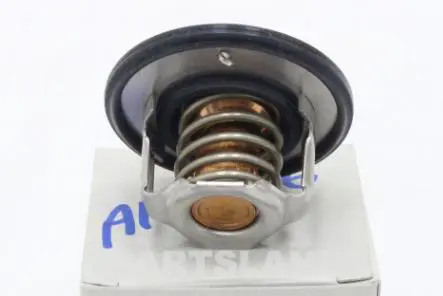 THERMOSTAT KIT