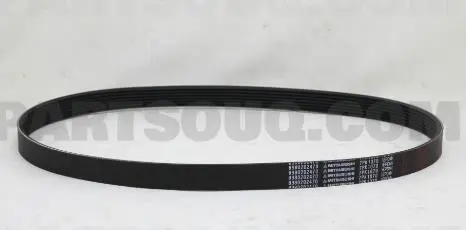 ALTERNATOR BELT