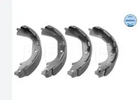 BRAKE SHOE