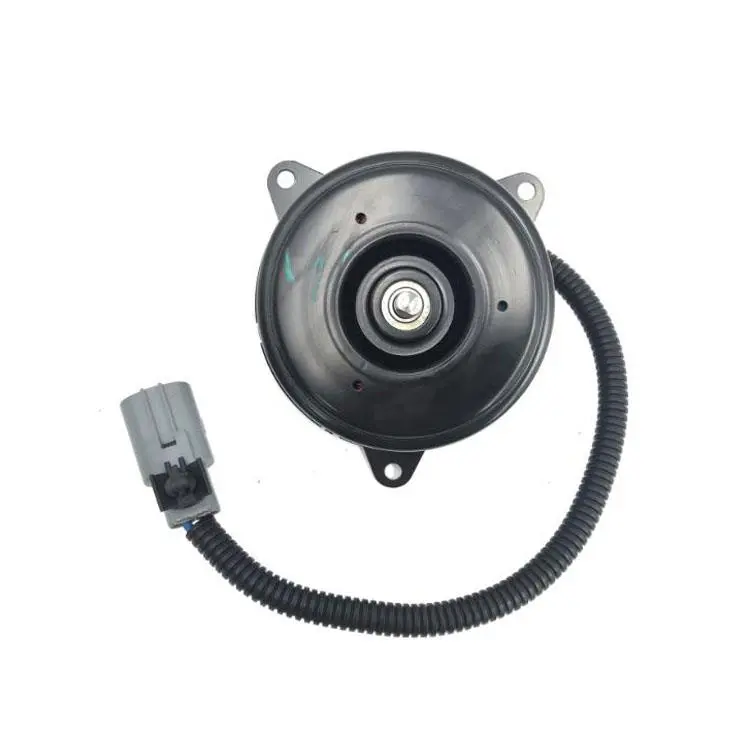 FAN MOTOR